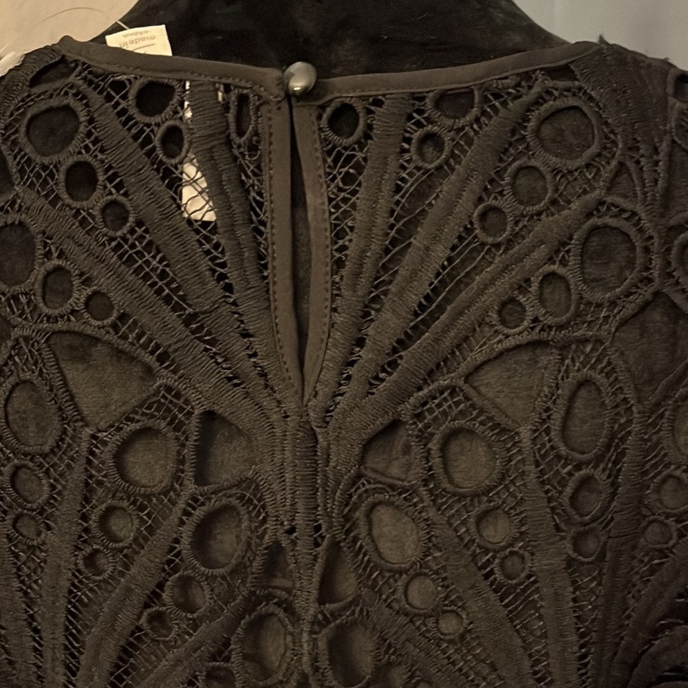 Lace Dressy Blouse - Picture 5 of 8